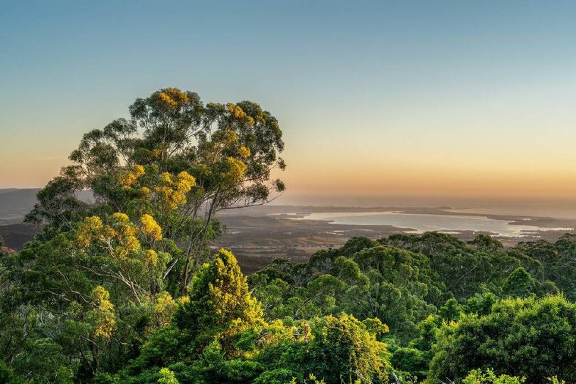 The property has views across the Illawarra escarpment down to the coast.