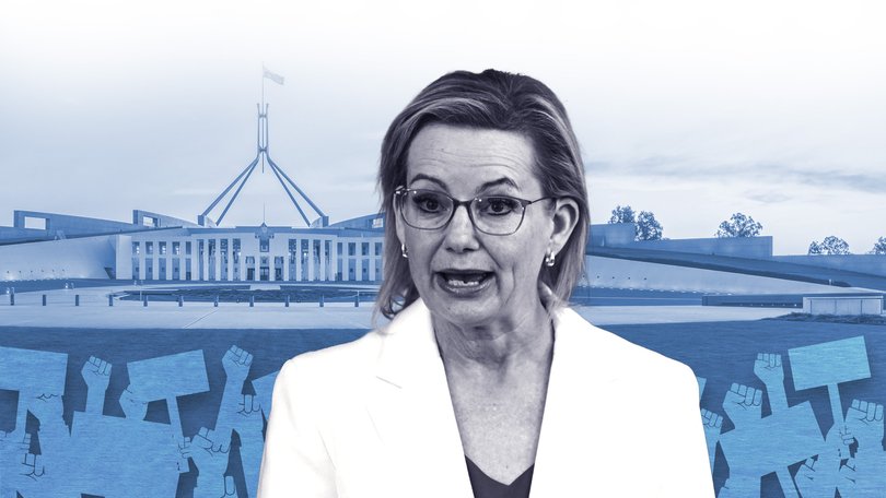 Gun reforms and hate crimes laws in response to the Bondi Beach terror attack have exposed a rife in the Coalition.