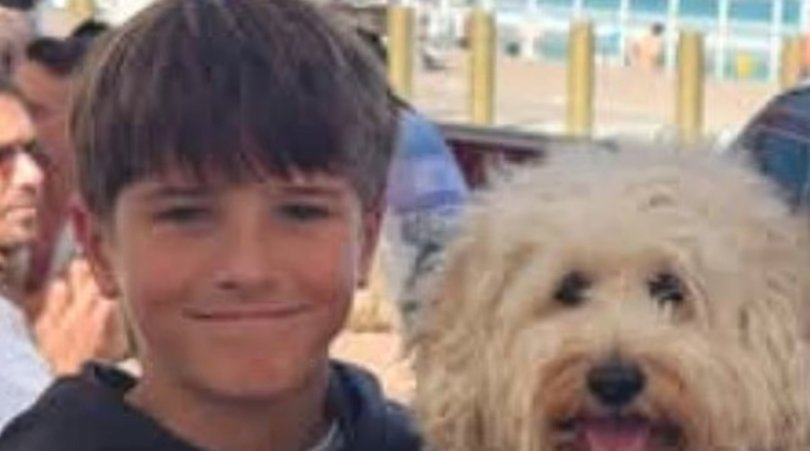 Nico Antic, 12, was jumping into the water from a six-metre rock ledge at Nielsen Park, in Sydney's eastern suburbs, at about 4.20pm on Sunday when he was mauled by a suspected bull shark. 