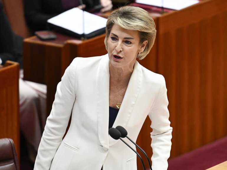 Liberal senator Michaelia Cash abstained from voting on Labor’s hate speech laws, but has since said it was unintentional. 