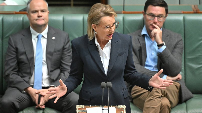 Sussan Ley’s authority is being tested as three National frontbenchers sensationally quit shadow cabinet for not backing the Liberal leader’s support for hate reforms. 