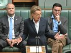 Sussan Ley during a federal parliament sitting January 21, 2026.