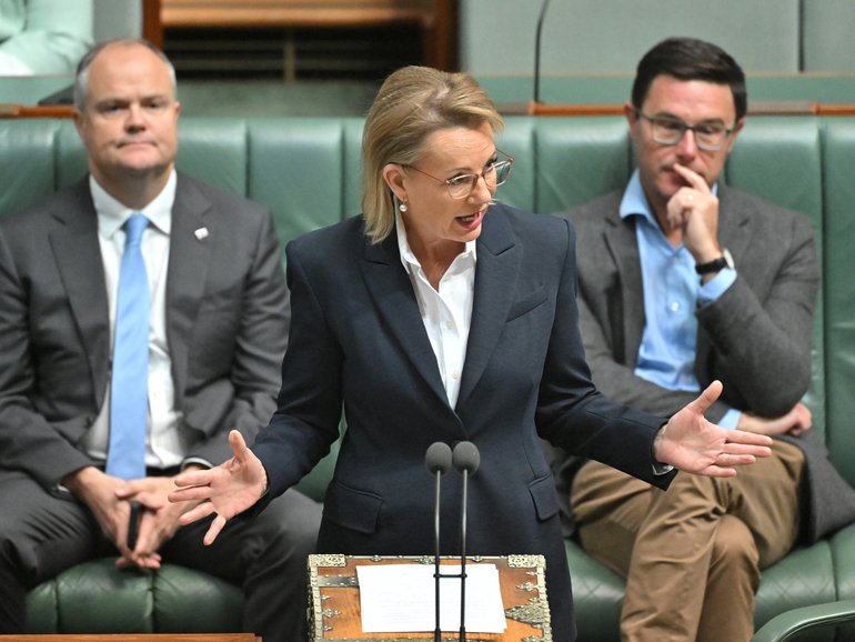 Sussan Ley’s authority is being tested as three National frontbenchers sensationally quit shadow cabinet for not backing the Liberal leader’s support for hate reforms. 