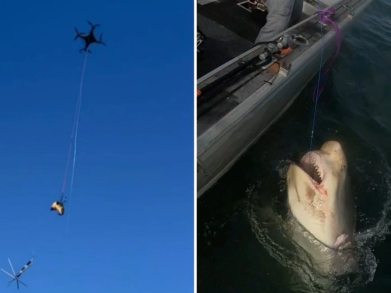 Locals have descended on beaches and Sydney Harbour in the wake of multiple bull shark attacks.