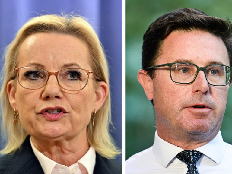 Both Sussan Ley and David Littleproud face uncertain futures following the Coalition’s split. 