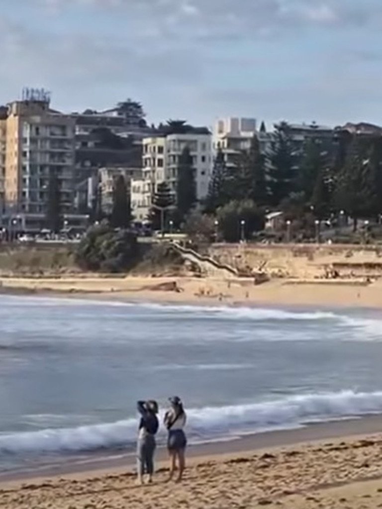 Alarms sounded at Coogee Beach after a bull shark was seen in the waters.