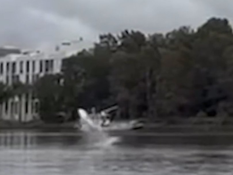 A massive shark vaulted from the water in Silverwater on Monday. Picture: Supplied