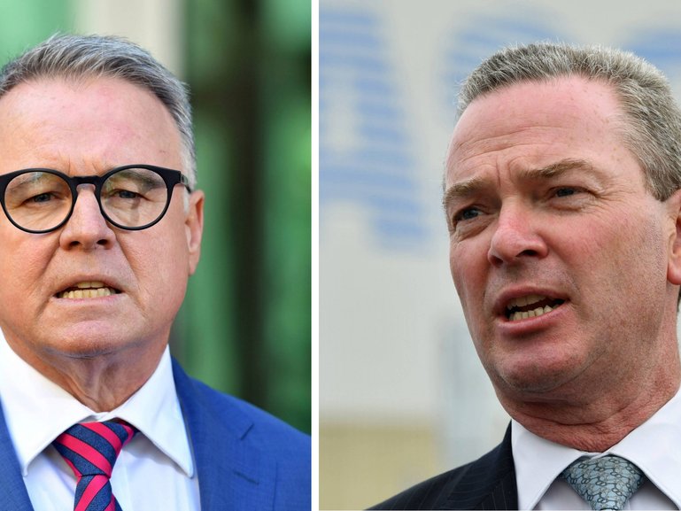 Joel Fitzgibbon and Christopher Pyne will join an official Australian trade delegation to the Middle East.