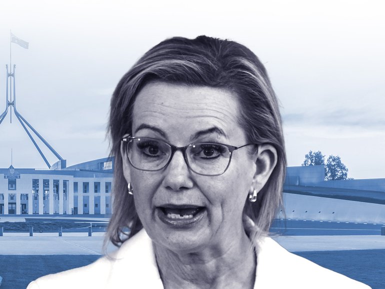 Sussan Ley could face a leadership challenge when federal parliament resumes next month. 