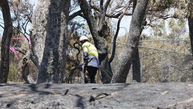 Authorities warn of more bush fire danger ahead. Picture: NewsWire / David Crosling