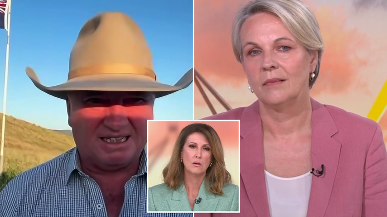 Tanya Plibersek and Barnaby Joyce in a heated exchange with Sunrise host Nat Barr over household electricity costs.