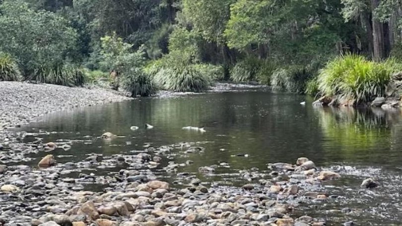 The Never Never River swimming hole in Bellingen. Supplied