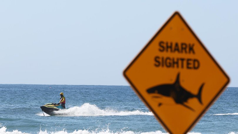 Surf lifesavers on jet skis patrolled the beach after the shark sighting. NewsWire / Damian Shaw