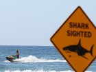 Surf lifesavers on jet skis patrolled the beach after the shark sighting. NewsWire / Damian Shaw