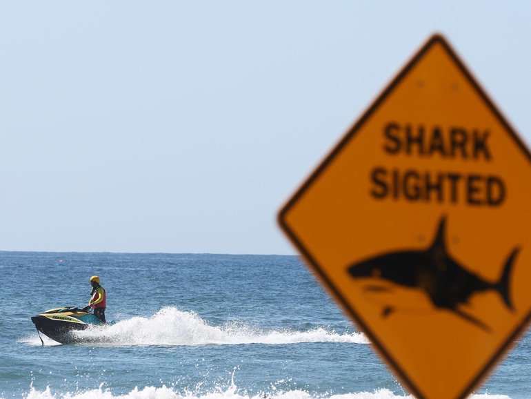 Surf lifesavers on jet skis patrolled the beach after the shark sighting. NewsWire / Damian Shaw