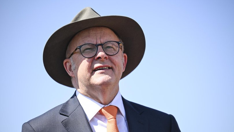 Anthony Albanese has welcomed a group of newly minted Australian citizens to the country. NewsWire / Martin Ollman