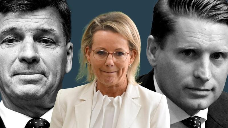 Sussan Ley has dismissed leadership challenge speculation as just ‘media frenzy’.