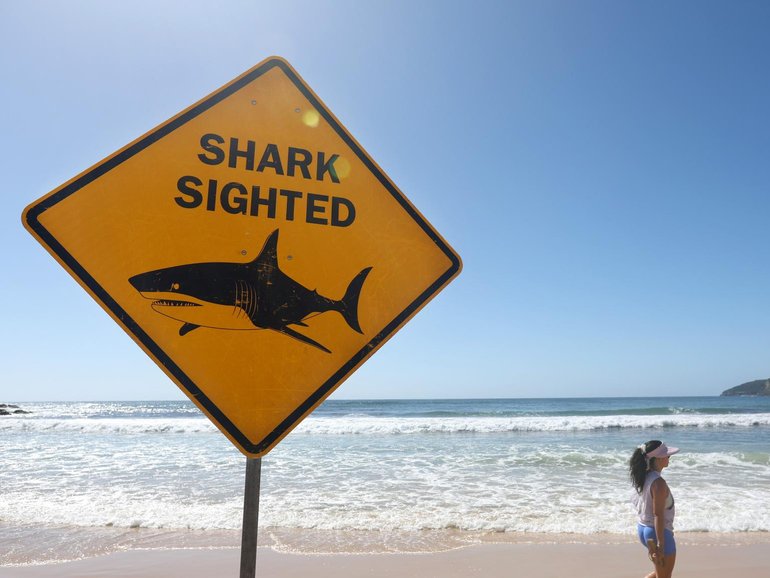 Alarms sounded at Coogee Beach after a shark was seen in the waters.