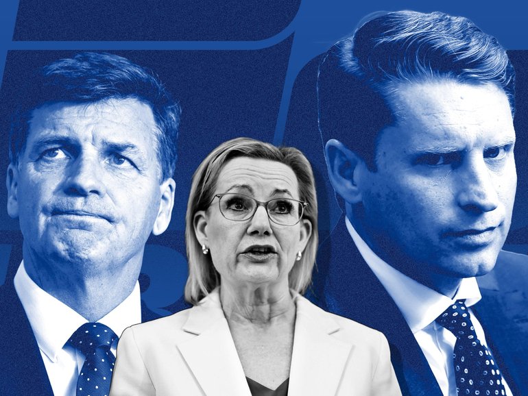 Conservative challengers are circling Opposition Leader Sussan Ley.