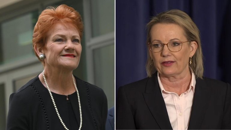 Support for One Nation leader Pauline Hanson continues to grow, with new polls showing the Queensland senator has surpased opposition leader Sussan Ley as preferred prime minister. 