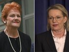 Support for One Nation leader Pauline Hanson continues to grow, with new polls showing the Queensland senator has surpased opposition leader Sussan Ley as preferred prime minister. 