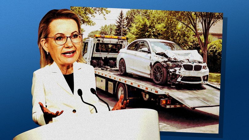 Sussan Ley and navigating the politics of a Coalition car-crash.