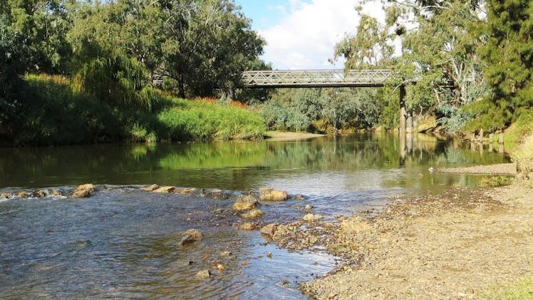 A 63-year-old went missing after going for a swim in the Namoi River in Gunnedah on Tuesday night.