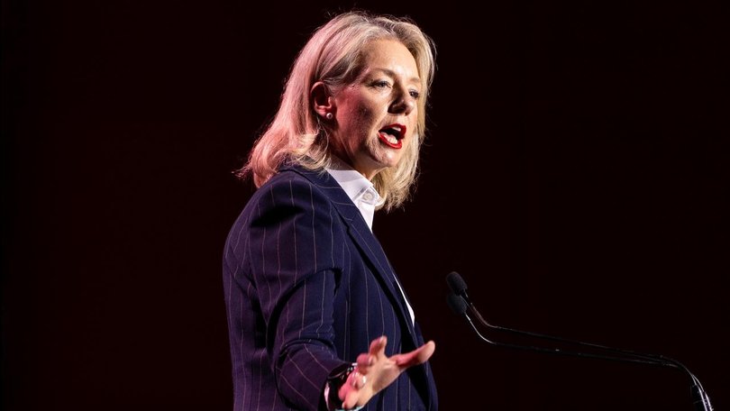 Nationals senator Bridget McKenzie has made a huge call on David Littleproud’s future. (Russell Freeman/AAP PHOTOS)