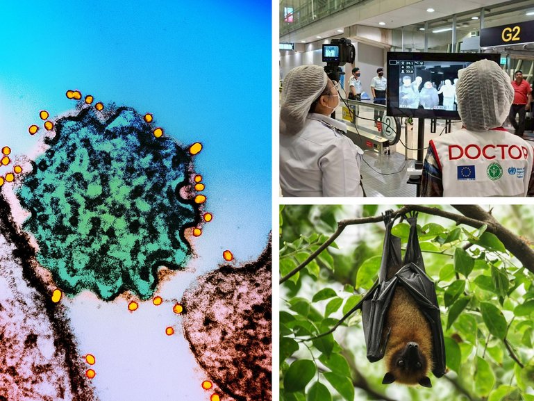 How worried should Aussies be about Nipah virus?