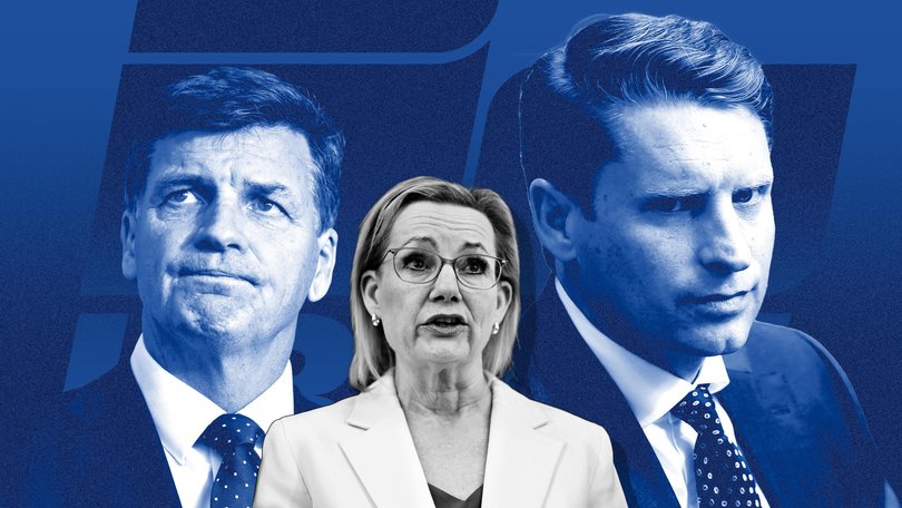 Angus Taylor and Andrew Hastie are battling it out for a challenge of the Liberal leadership. 