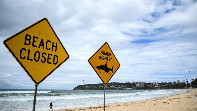 A popular Aussie beach has been forced to close after shark sighting.