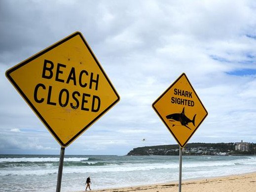 A popular Aussie beach has been forced to close after shark sighting.