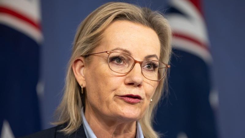 Opposition Leader Sussan Ley has revealed a new all-Liberal ministry.