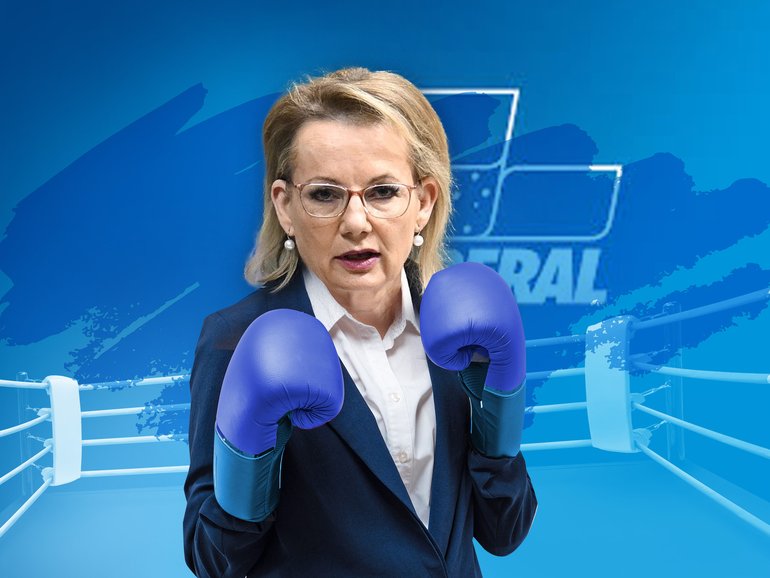 Sussan Ley has flipped the leadership narrative.