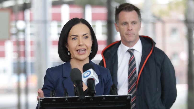 NSW Deputy Premier Prue Car has announced she has beat cancer for a second time. Christian Gilles / NewsWire
