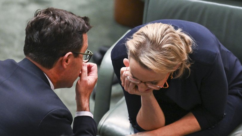 Both Liberal leader Sussan Ley and Nationals counterpart David Littleproud face uncertain futures. Picture: NewsWire / Martin Ollman