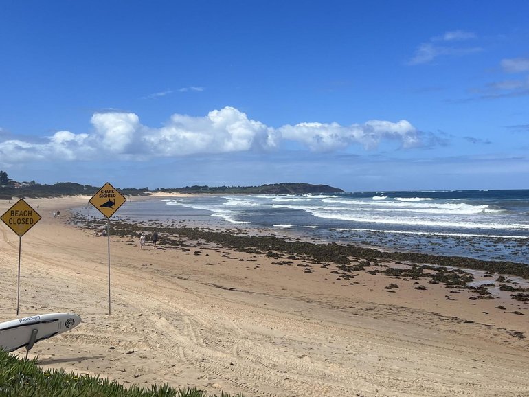 Dee Why Beach.