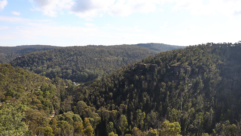 The friends had been hiking and camping in the Blue Mountains.