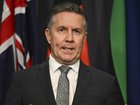 Health Minister Mark Butler has released the plan for Labor’s “Thriving Kids” initiative, a proposed alternative to the NDIS for children with mild to moderate developmental delays or autism.