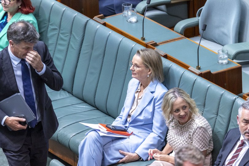 Angus Taylor walks past the Leader of the Opposition Sussan Ley.