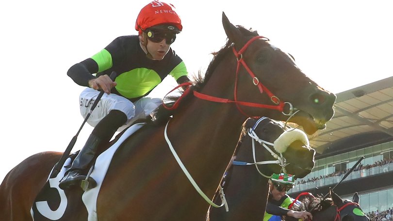 Think About It capped off a monumental rise in 2023 with victory in the Everest.