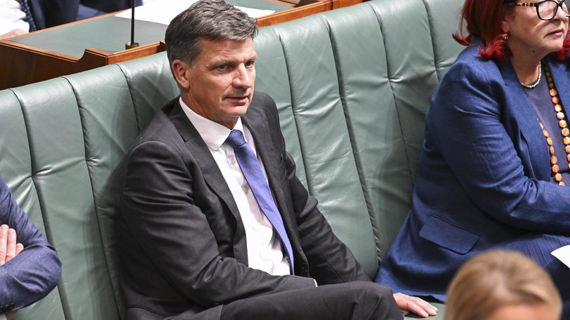 Liberal MP Angus Taylor backed National MP Pat Conaghan’s amendments. Picture: NewsWire / Martin Ollman