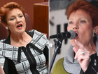 Support for Pauline Hanson and her One Nation party has surged in recent months with the latest polls placing her ahead of Opposition Leader Sussan Ley as preferred prime minister.