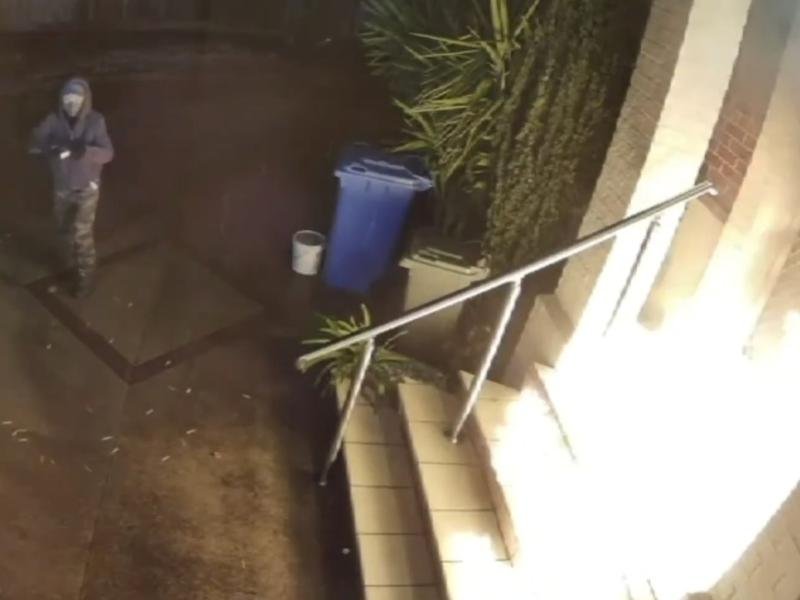 Tsai-Wei Hung throws accelerant and lights the front door of her landlord's house with kids inside. 