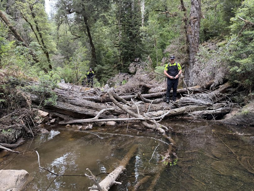 The search has been temporarily paused. Picture: Tasmania Police