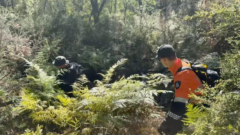 Police have concluded the third day of a five-day search for Desmond ‘Dezi’ Freeman in Victoria’s northeast, with no new updates provided. Picture: NewsWire Handout/ Vic Police