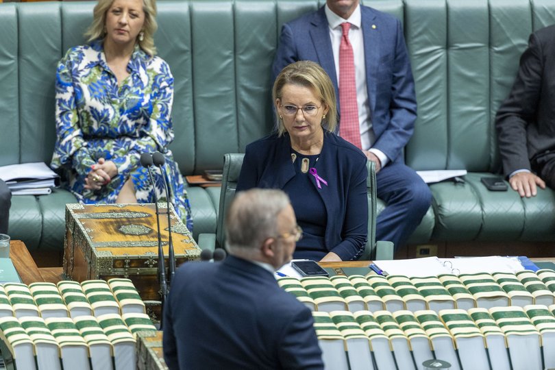Oppositioon Leader Sussan Ley during Question Time