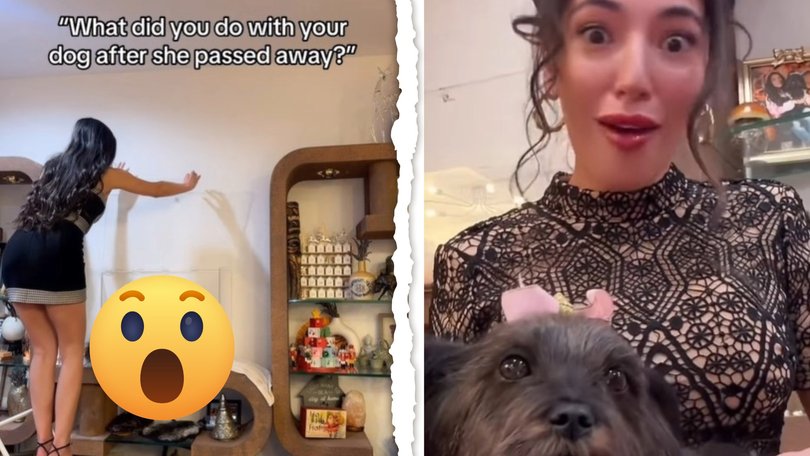 A US influencer has hit back at critics after revealing she had her late dog freeze-dried and placed on display in her home — a decision that has sparked fierce debate online.