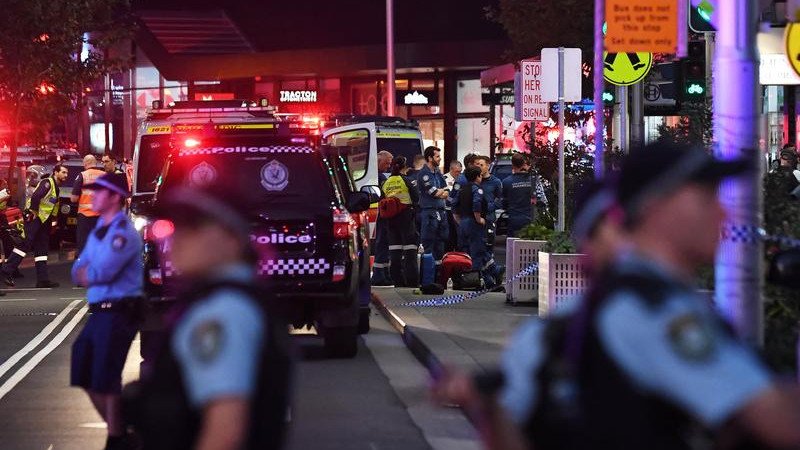 The findings go a long way towards providing answers about the tragedy.