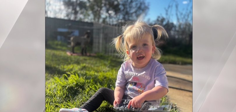 Matilda’s mum is horrified by what happened.